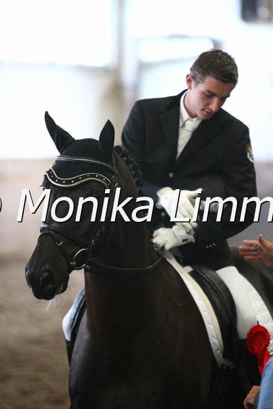 009M3080_Coco Procol_Dressurpferde_A.JPG